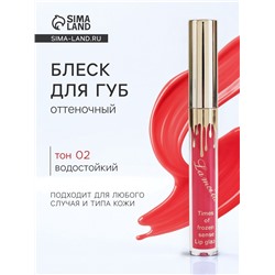 Блеск для губ оттеночный, водостойкий, 6.5 г, оттенок №2