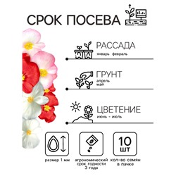 Семена цветов Бегония вечноцветущая «Сенатор F1», смесь, однолетник, 10 шт., «Аэлита»