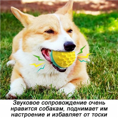 Игрушка-пищалка для собак, жевательная, "колючий" мяч К2202А