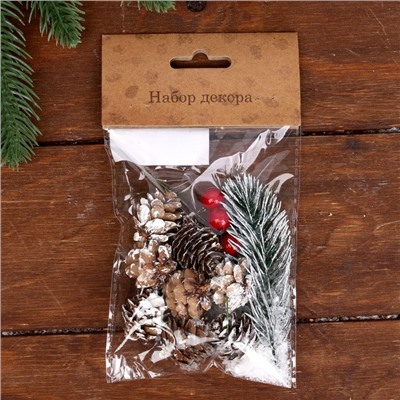 Новогодний декор «Морозные шишки», набор