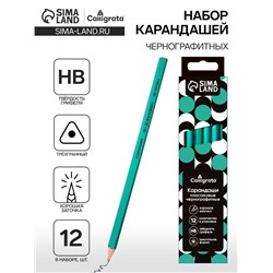 Набор карандашей чернографитных 12 штук, Calligrata Classic, заточенные, пластик, трехгранные, зеленые