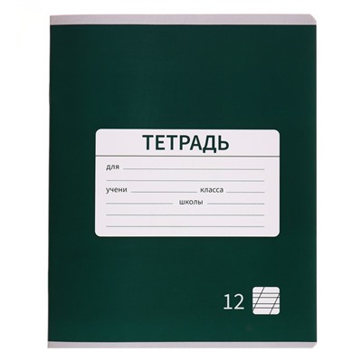 Тетрадь 12 листов в косую линейку, Calligrata «Однотонная. Школьная», обложка мелованная бумага, серые листы, МИКС