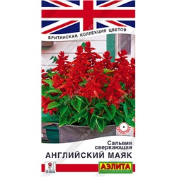 1590 Сальвия сверкающая Английский маяк 7шт