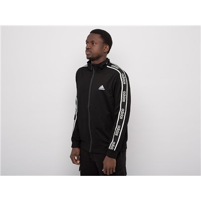 Толстовка Adidas