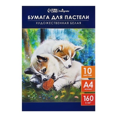 Бумага для пастели А4, 10 листов "Щенки", блок 160 г/м2, в папке