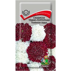 Семена Скабиоза Тёмно-пурпурная Пламенное сердце, арт.: 4854