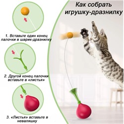 Игрушка неваляшка-дразнилка для кошек 2в1 Н2305Е