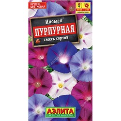 1313 Ипомея Пурпурная, смесь сортов 0,5гр