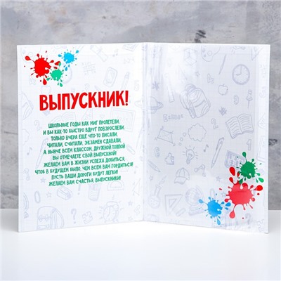 Папка с двумя файлами, А4 на выпускной «Диплом выпускника»