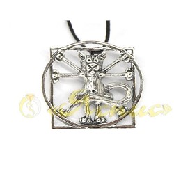 1045П   Кот Да Винчи