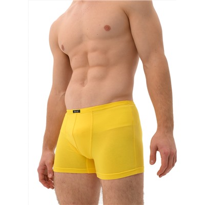 Мужские трусы Berrak