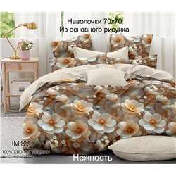 Постельное белье поплин Иваново / Нежность