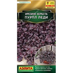 1317 Ирезине Пурпл леди 5шт