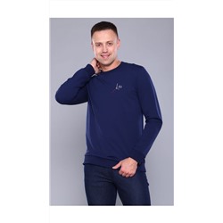 Толстовка мужская #032100104