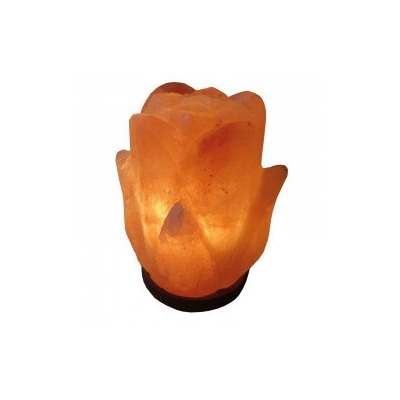 SLL-44-Д Лампа солевая Wonder Life цветок 2-3 кг