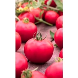 Семена Томат непасынкующийся Розовый, арт.: 70574