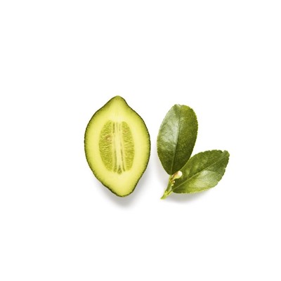 ARMANI AQUA  DI GIOIA lady 50ml edp