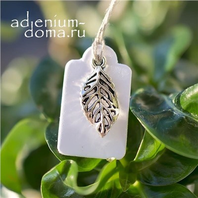 Подвеска ЛИСТ IX серебристый (Folium)