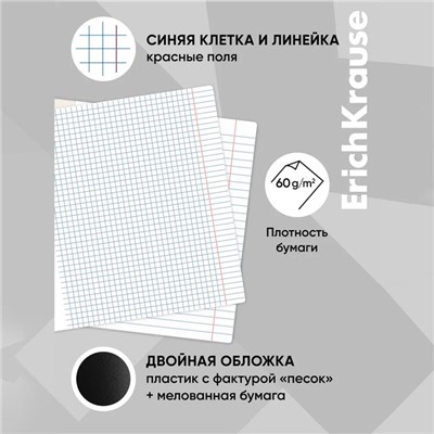 Набор предметных тетрадей А5, 48 листов, ErichKrause Persons, 12 шт.