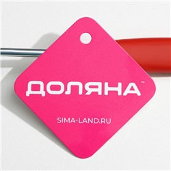 Венчик для взбивания Доляна «Шеф-повар», 23×4 см, МИКС