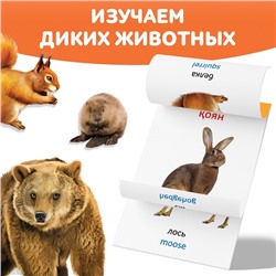 Книга по методике Г. Домана «Дикие животные», на казахском языке