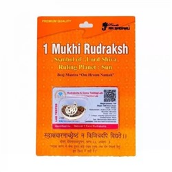Сертифицированная Рудракша (1 мукхи), Certified 1 Mukhi Rudraksh, произв. PANDIT NM SHRIMALI