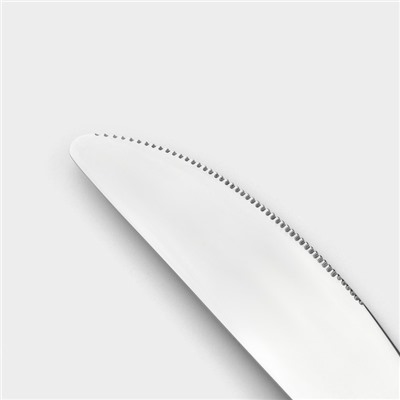 Набор ножей столовых из нержавеющей стали Magistro «Джентри», длина 22.5 см, 6 шт., серебристый