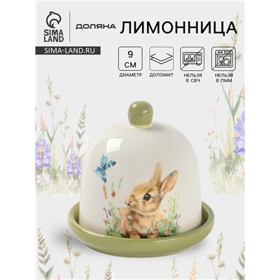 Лимонница Доляна «Зайка», доломит, 9×9 см, белая