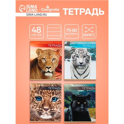 Тетрадь 48 листов в линейку Calligrata «Дикие кошки», обложка мелованная бумага, блок №2, МИКС