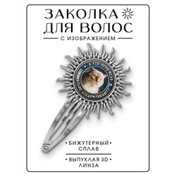 HZG-0365 Заколка А что, если?