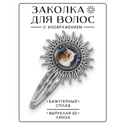 HZG-0365 Заколка А что, если?