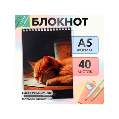 Блокнот А5, 40 листов в клетку на гребне "Соня", обложка мелованный картон, матовая ламинация, выборочный УФ-лак, блок офсет