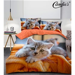 КПБ Candie's Future CANFU011