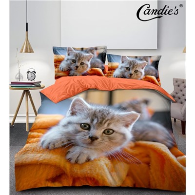 КПБ Candie's Future CANFU011