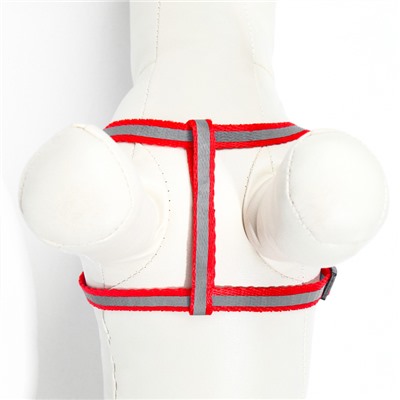 Комплект со светоотражающей лентой, ошейник 120×1 см, ОГ 26-40 см, красный