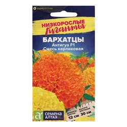 Семена цветов Бархатцы Антигуа, смесь карликовая, Сем. Алт, ц/п, 5 шт