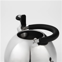 Чайник, 1.8 л, со свистком, капсульное дно, индукция, нержавеющая сталь