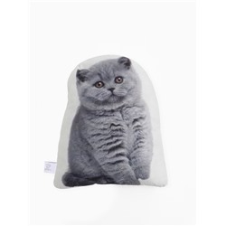 Подушка «Этель» Fluffy kitten, 40×33 см, 100% п/э, велюр