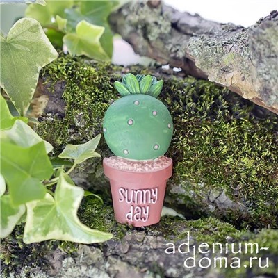 Магнит на холодильник АСТРОФИТУМ (Astrophytum)