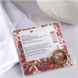 Аромасаше «Запахи удовольствия», яблоко-корица, вес 10 г, размер 10×10.5 см