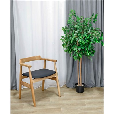 Стул SHT-S204
                        черный / прозрачный лак