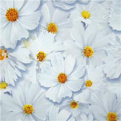 КПБ Космея поплин Арт Дизайн