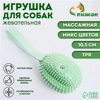 Игрушка массажная пищащая для собак "Фрукт",10,5 см, ТПР, микс цветов