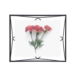 Фоторамка Prisma, 20х25, черная