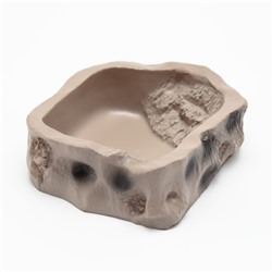 Кормушка для террариума, 8,2 х 8 х 2,5 см