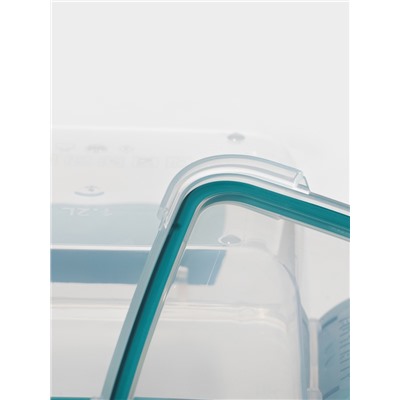 Контейнер пищевой герметичный Butterfly, 1.2 л, пластик, прозрачный, крышка МИКС