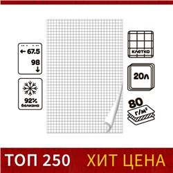Блокнот для флипчарта в клетку Calligrata, 67.5×98 см, 20 листов, 80 г/м², белизна 92%
