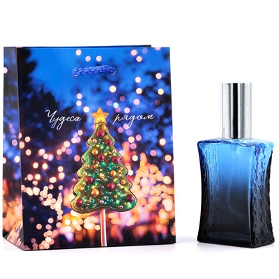 Сумка подарочная Чудеса рядом 11,5*14,5*6,5