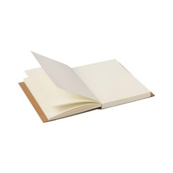 Скетчбук, слоновая кость 100г/м2, 210х297мм, 120л, прошивка, BRAUBERG ART CLASSIC,128960