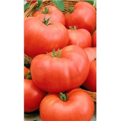 Семена Томат Сибирский тяжеловес, арт.: 73643